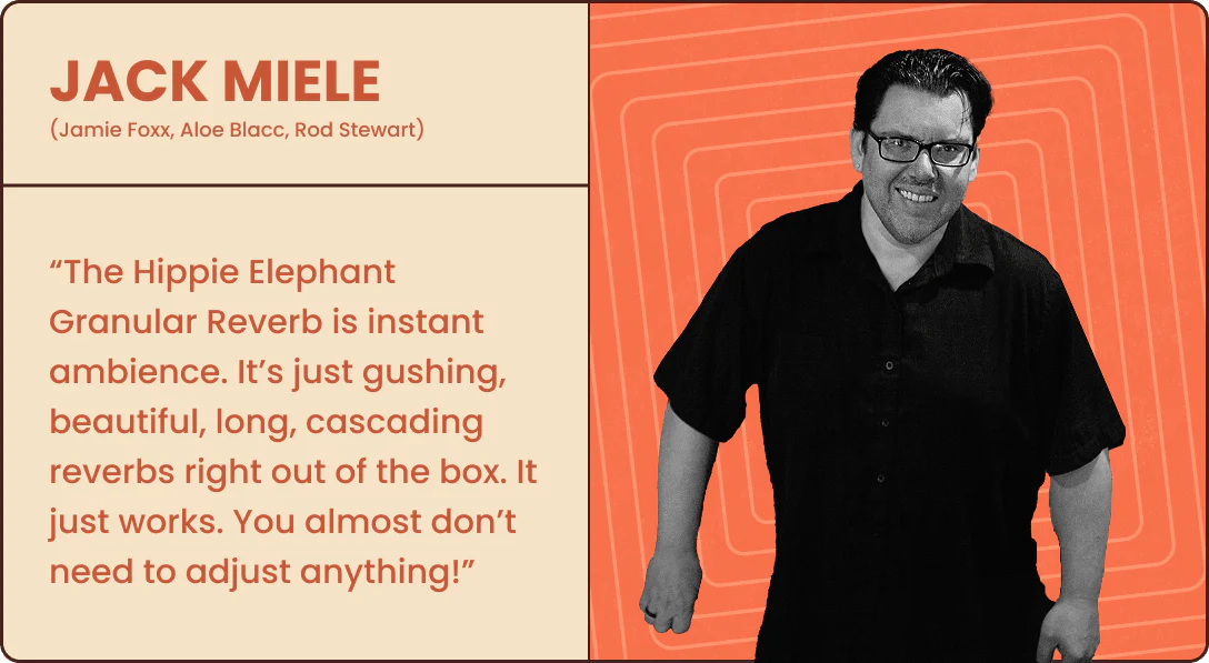 Hippie Elephant - Granular Reverb - Image 11
