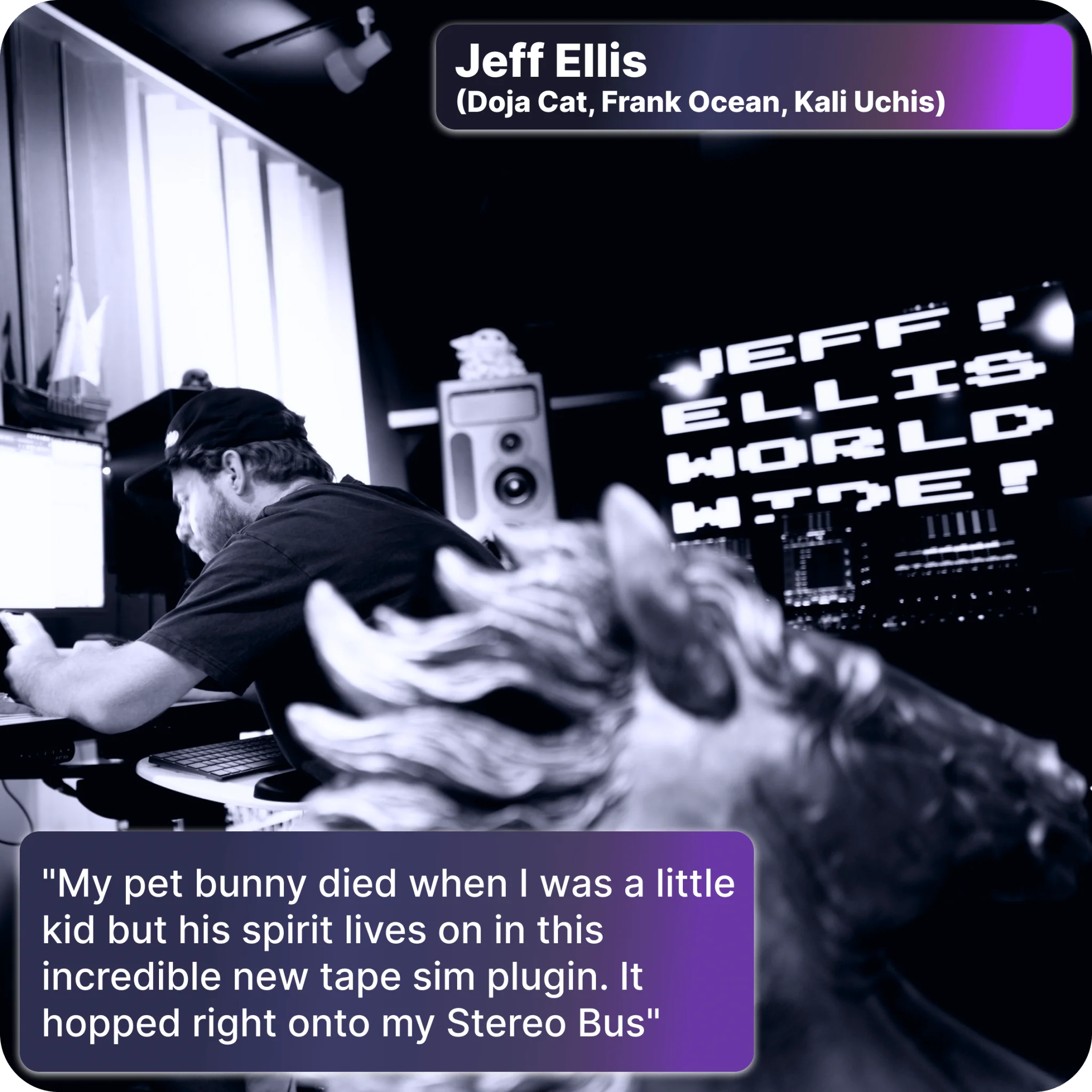 Rabbit Tape - Jungle Warmth Tape Distortion - Image 4